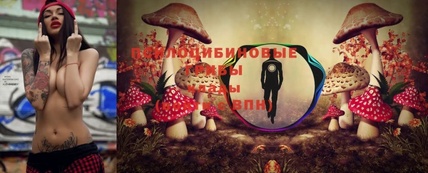 mdma Верхний Тагил